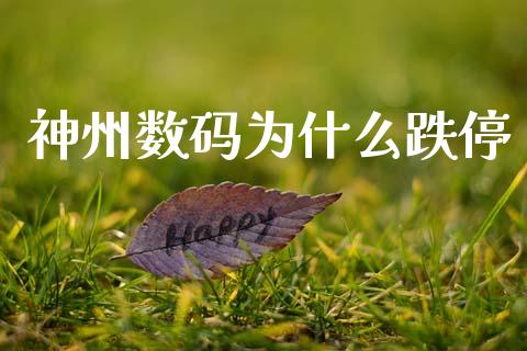 神州数码为什么跌停_https://wap.lxcailiao.com_融资担保_第1张