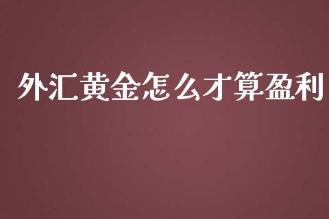 外汇黄金怎么才算盈利_https://wap.lxcailiao.com_财务管理_第1张