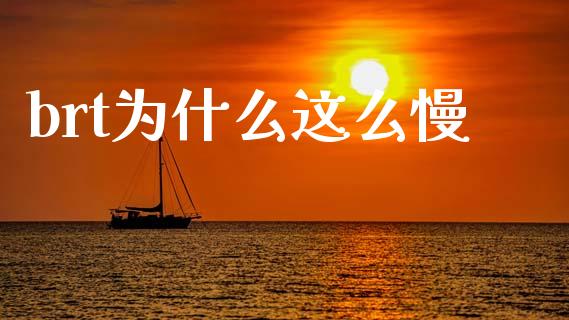 brt为什么这么慢_https://wap.lxcailiao.com_金融监管_第1张
