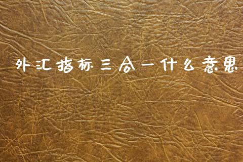 外汇指标三合一什么意思_https://wap.lxcailiao.com_财务管理_第1张