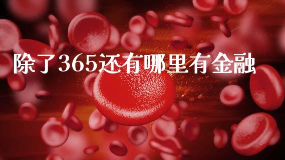 除了365还有哪里有金融_https://wap.lxcailiao.com_融资担保_第1张