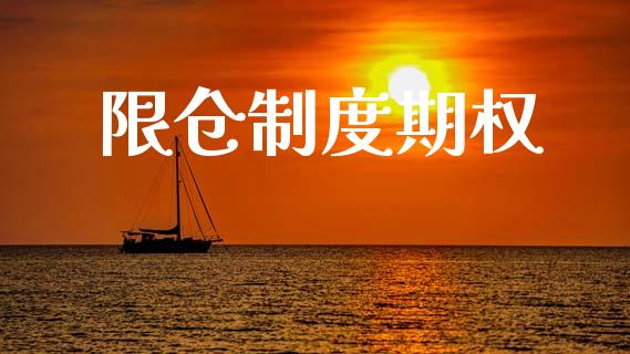 限仓制度期权_https://wap.lxcailiao.com_融资担保_第1张