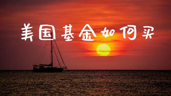 美国基金如何买_https://wap.lxcailiao.com_股权投资_第1张