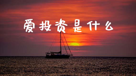 爱投资是什么_https://wap.lxcailiao.com_财务管理_第1张