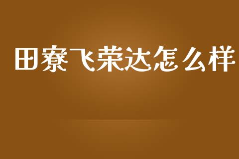 田寮飞荣达怎么样_https://wap.lxcailiao.com_财务管理_第1张