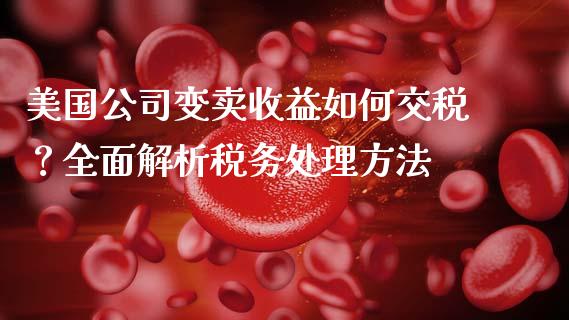 美国公司变卖收益如何交税？全面解析税务处理方法_https://wap.lxcailiao.com_财务管理_第1张