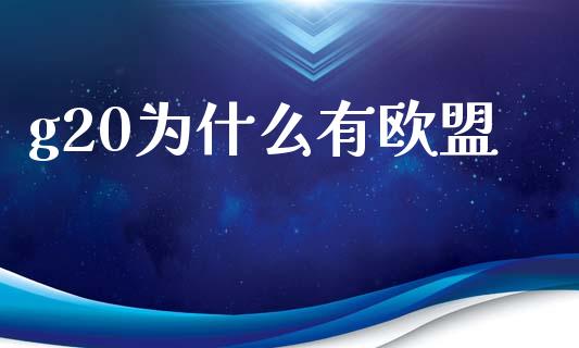 g20为什么有欧盟_https://wap.lxcailiao.com_金融监管_第1张