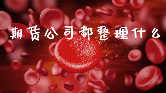 期货公司都整理什么_融资担保_第1张_金融监管_融资担保_财务管理_股权投资 期货公司都整理什么_https://wap.lxcailiao.com_融资担保_第1张