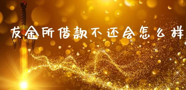友金所借款不还会怎么样_https://wap.lxcailiao.com_财务管理_第1张