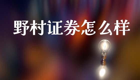 野村证券怎么样_https://wap.lxcailiao.com_融资担保_第1张