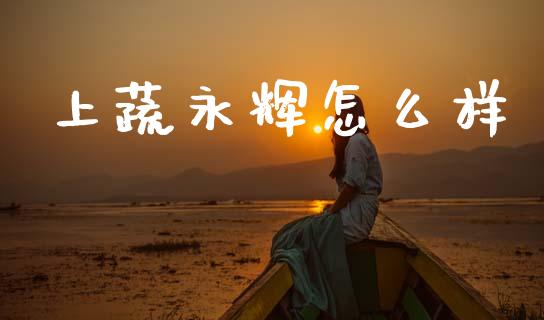上蔬永辉怎么样_https://wap.lxcailiao.com_财务管理_第1张