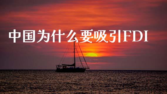 中国为什么要吸引FDI_https://wap.lxcailiao.com_融资担保_第1张