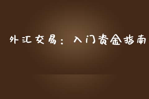 外汇交易：入门资金指南_https://wap.lxcailiao.com_融资担保_第1张