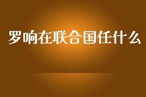 罗响在联合国任什么_https://wap.lxcailiao.com_金融监管_第1张
