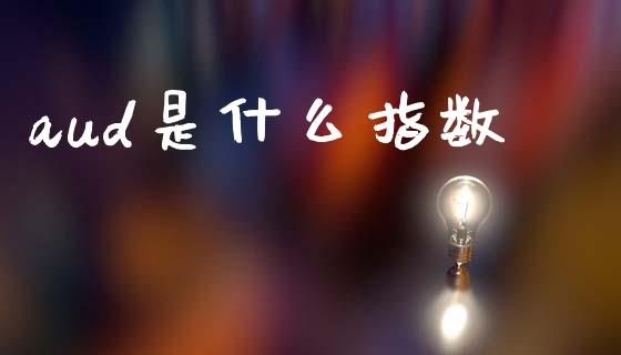 aud是什么指数_https://wap.lxcailiao.com_融资担保_第1张
