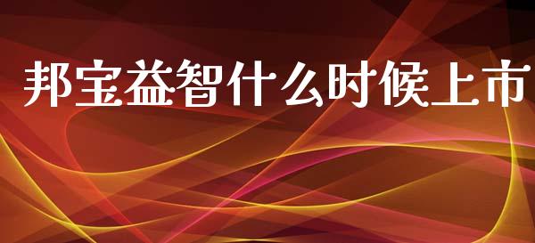 邦宝益智什么时候上市_https://wap.lxcailiao.com_金融监管_第1张