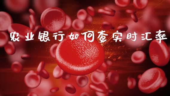 农业银行如何查实时汇率_https://wap.lxcailiao.com_融资担保_第1张