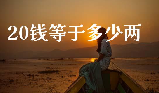 20钱等于多少两_https://wap.lxcailiao.com_财务管理_第1张