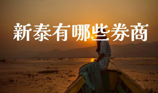 新泰有哪些券商_https://wap.lxcailiao.com_财务管理_第1张