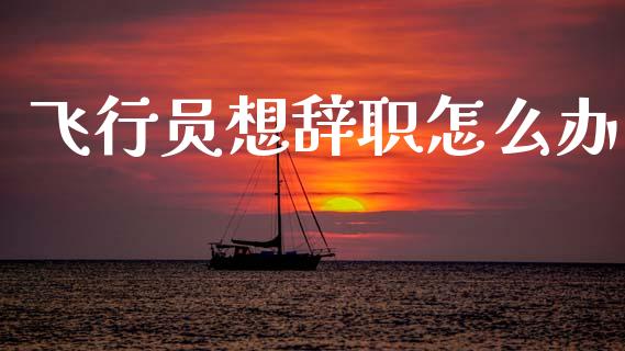飞行员想辞职怎么办_https://wap.lxcailiao.com_财务管理_第1张