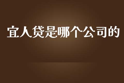 宜人贷是哪个公司的_https://wap.lxcailiao.com_财务管理_第1张