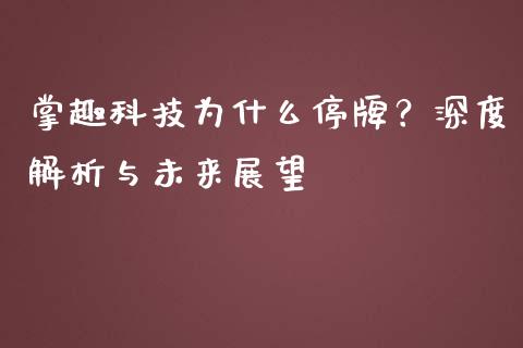 掌趣科技为什么停牌？深度解析与未来展望_https://wap.lxcailiao.com_股权投资_第1张