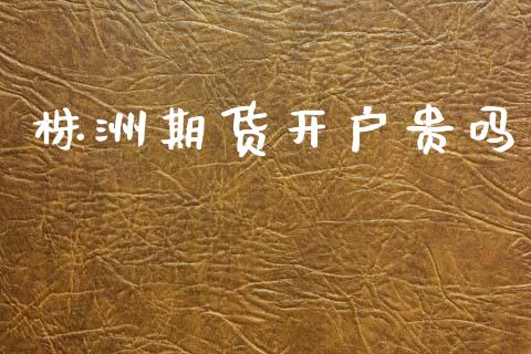 株洲期货开户贵吗_https://wap.lxcailiao.com_融资担保_第1张