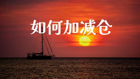 如何加减仓_https://wap.lxcailiao.com_融资担保_第1张