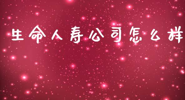生命人寿公司怎么样_https://wap.lxcailiao.com_财务管理_第1张