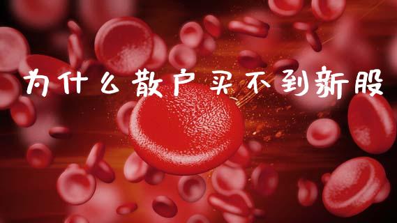 为什么散户买不到新股_https://wap.lxcailiao.com_融资担保_第1张