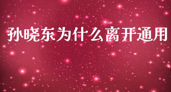 孙晓东为什么离开通用_https://wap.lxcailiao.com_融资担保_第1张