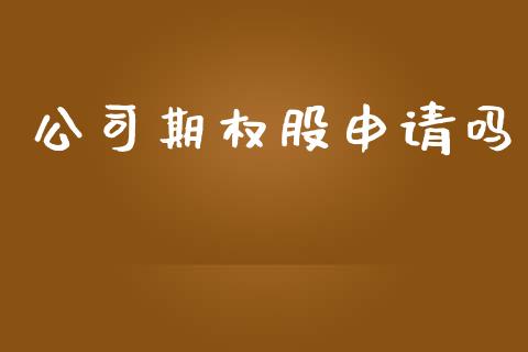 公司期权股申请吗_https://wap.lxcailiao.com_融资担保_第1张