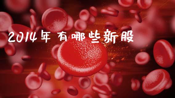 2014年有哪些新股_https://wap.lxcailiao.com_金融监管_第1张