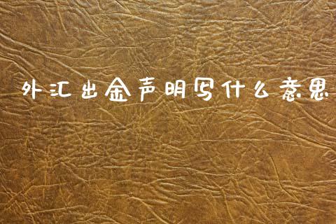 外汇出金声明写什么意思_https://wap.lxcailiao.com_金融监管_第1张