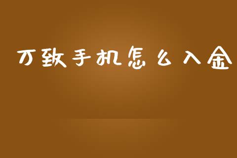 万致手机怎么入金_https://wap.lxcailiao.com_金融监管_第1张