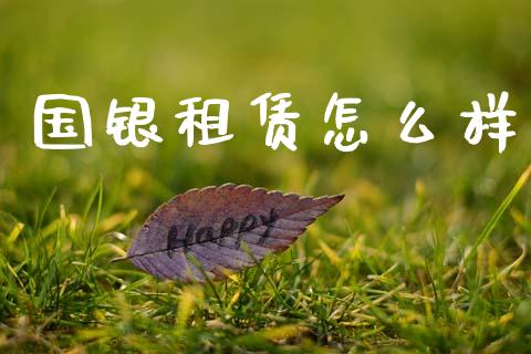 国银租赁怎么样_https://wap.lxcailiao.com_金融监管_第1张