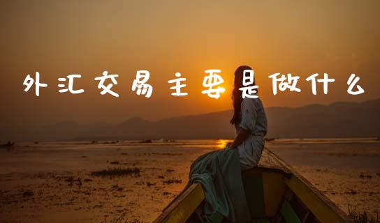外汇交易主要是做什么_https://wap.lxcailiao.com_融资担保_第1张