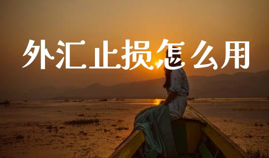 外汇止损怎么用_https://wap.lxcailiao.com_财务管理_第1张