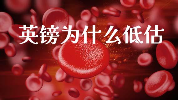 英镑为什么低估_https://wap.lxcailiao.com_财务管理_第1张