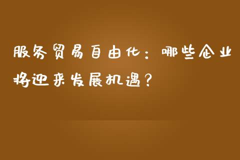 服务贸易自由化：哪些企业将迎来发展机遇？_https://wap.lxcailiao.com_融资担保_第1张