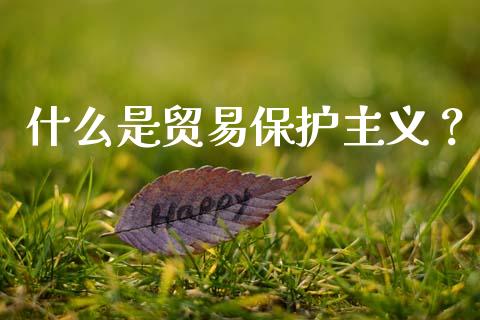 什么是贸易保护主义？_https://wap.lxcailiao.com_财务管理_第1张
