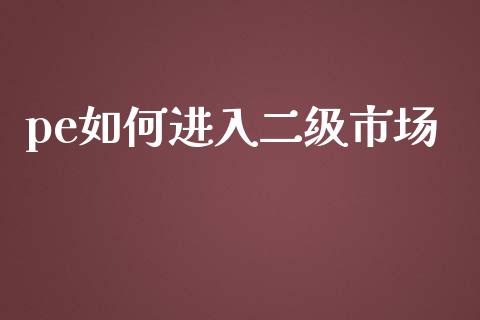 pe如何进入二级市场_https://wap.lxcailiao.com_融资担保_第1张