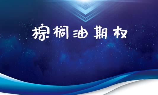 棕榈油期权_https://wap.lxcailiao.com_融资担保_第1张