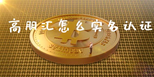 高朋汇怎么实名认证_https://wap.lxcailiao.com_股权投资_第1张