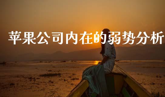 苹果公司内在的弱势分析_https://wap.lxcailiao.com_股权投资_第1张