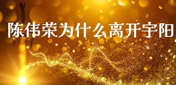 陈伟荣为什么离开宇阳_https://wap.lxcailiao.com_财务管理_第1张