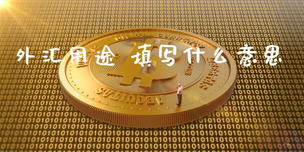 外汇用途 填写什么意思_https://wap.lxcailiao.com_金融监管_第1张