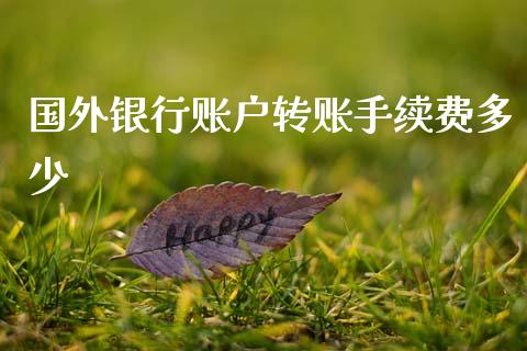 国外银行账户转账手续费多少_https://wap.lxcailiao.com_财务管理_第1张