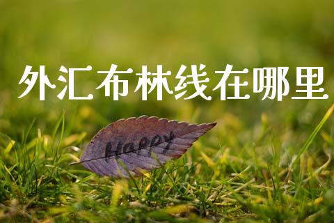外汇布林线在哪里_https://wap.lxcailiao.com_金融监管_第1张