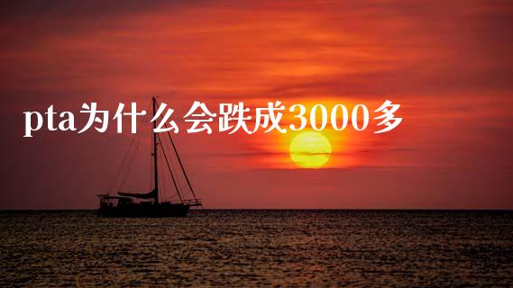 pta为什么会跌成3000多_https://wap.lxcailiao.com_融资担保_第1张